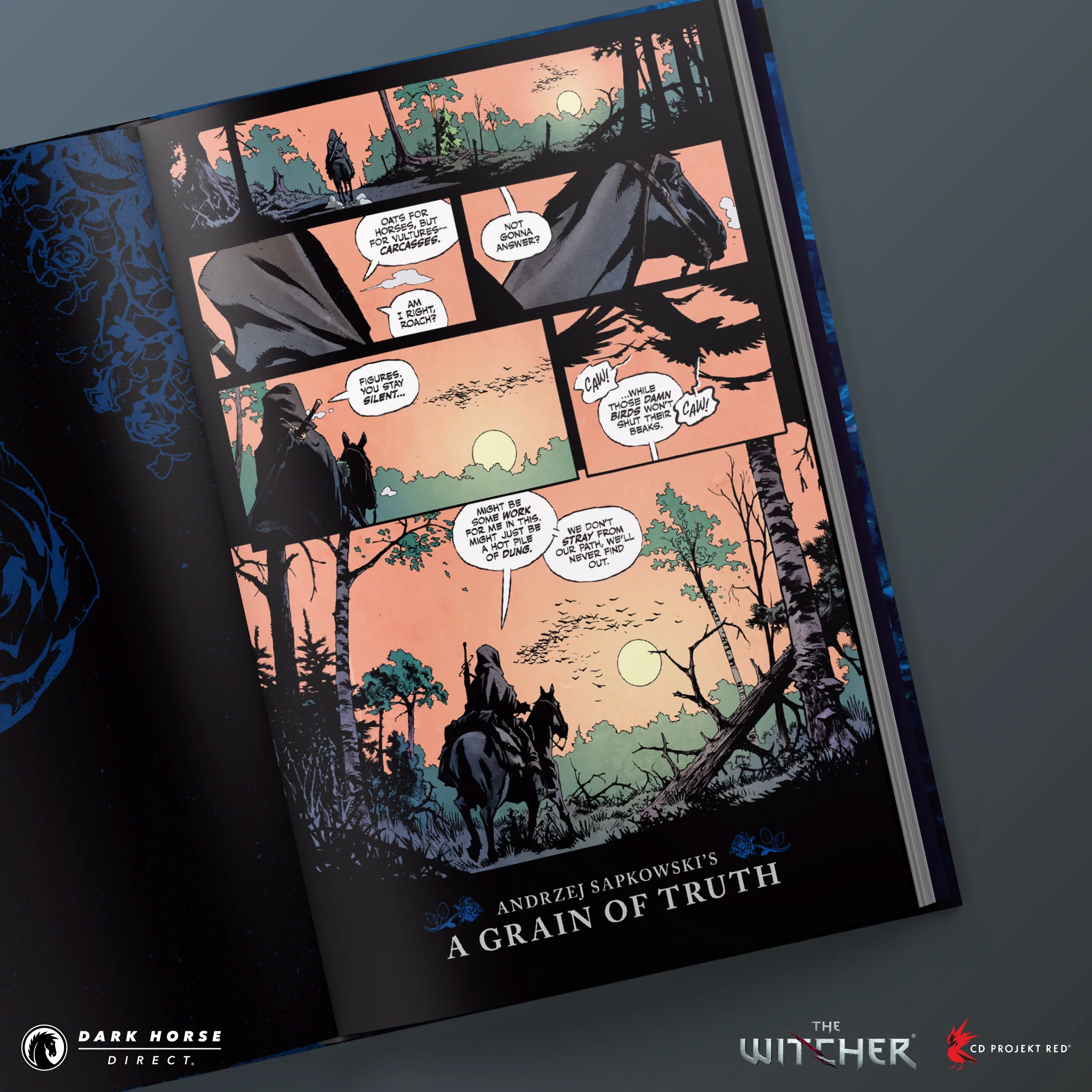 Andrzej Sapkowski's The Witcher: A Grain of Truth HC - Image 2