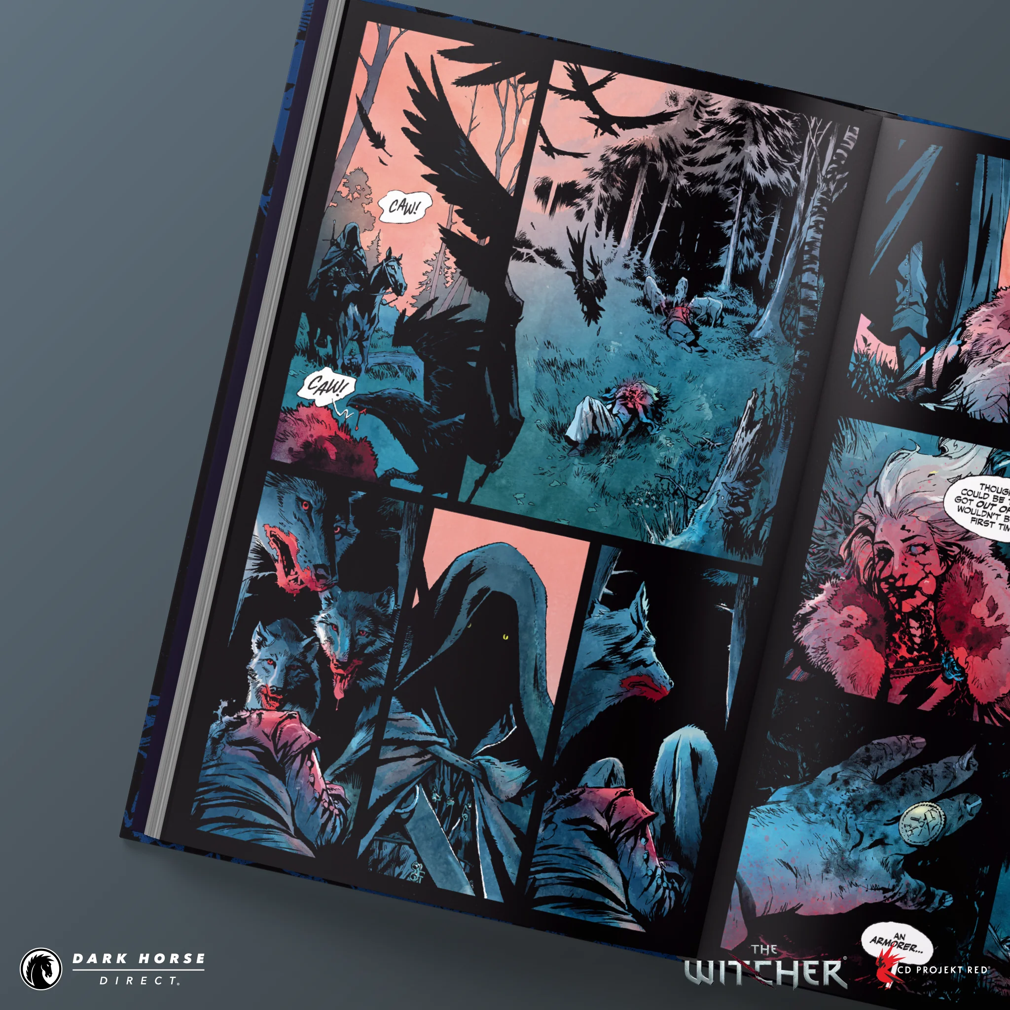 Andrzej Sapkowski's The Witcher: A Grain of Truth HC - Image 3