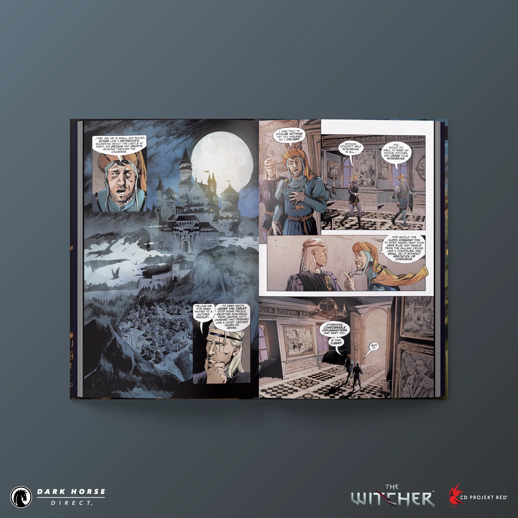Andrzej Sapkowski's The Witcher: A Question of Price HC - Image 2