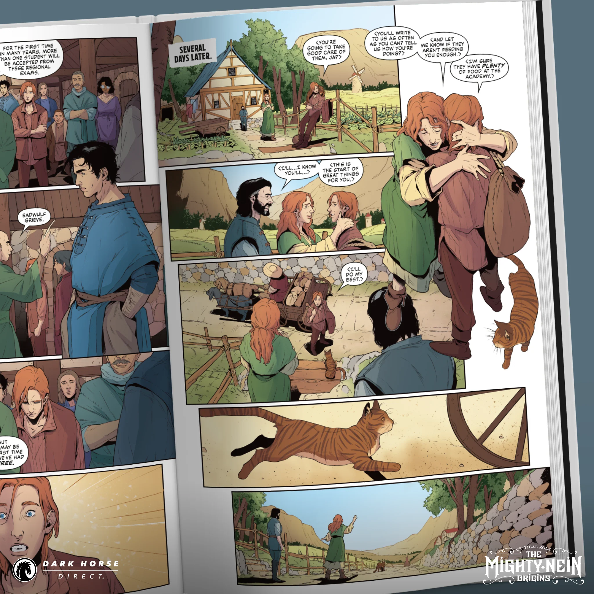 Critical Role: The Mighty Nein Origins--Caleb HC - Image 4