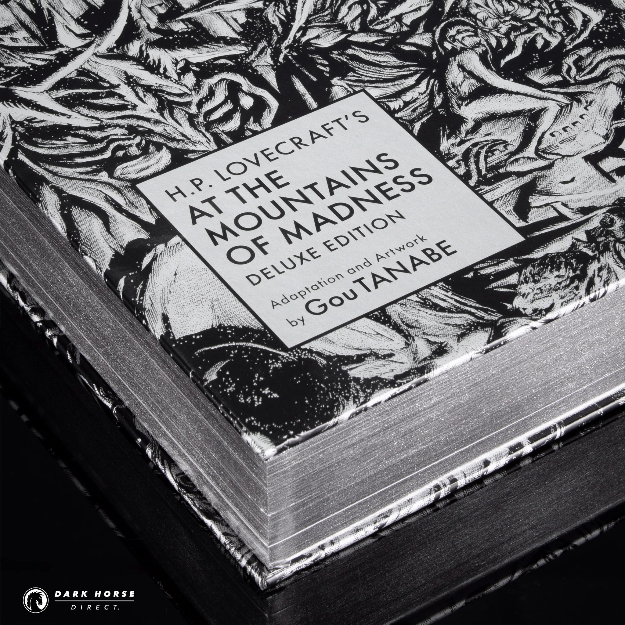 H.P. Lovecraft's At the Mountains of Madness HC (Deluxe Edition) - Image 4