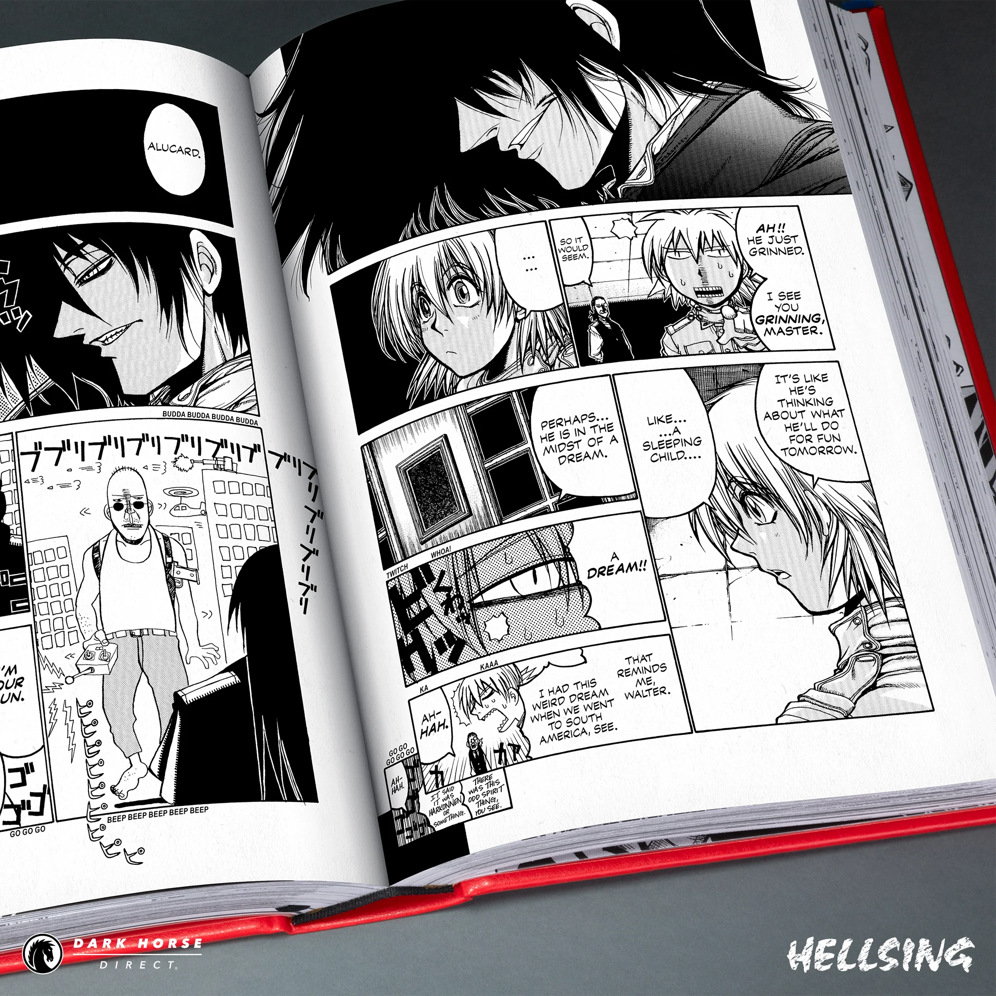 Hellsing Deluxe Hardcover Volumes - Image 11