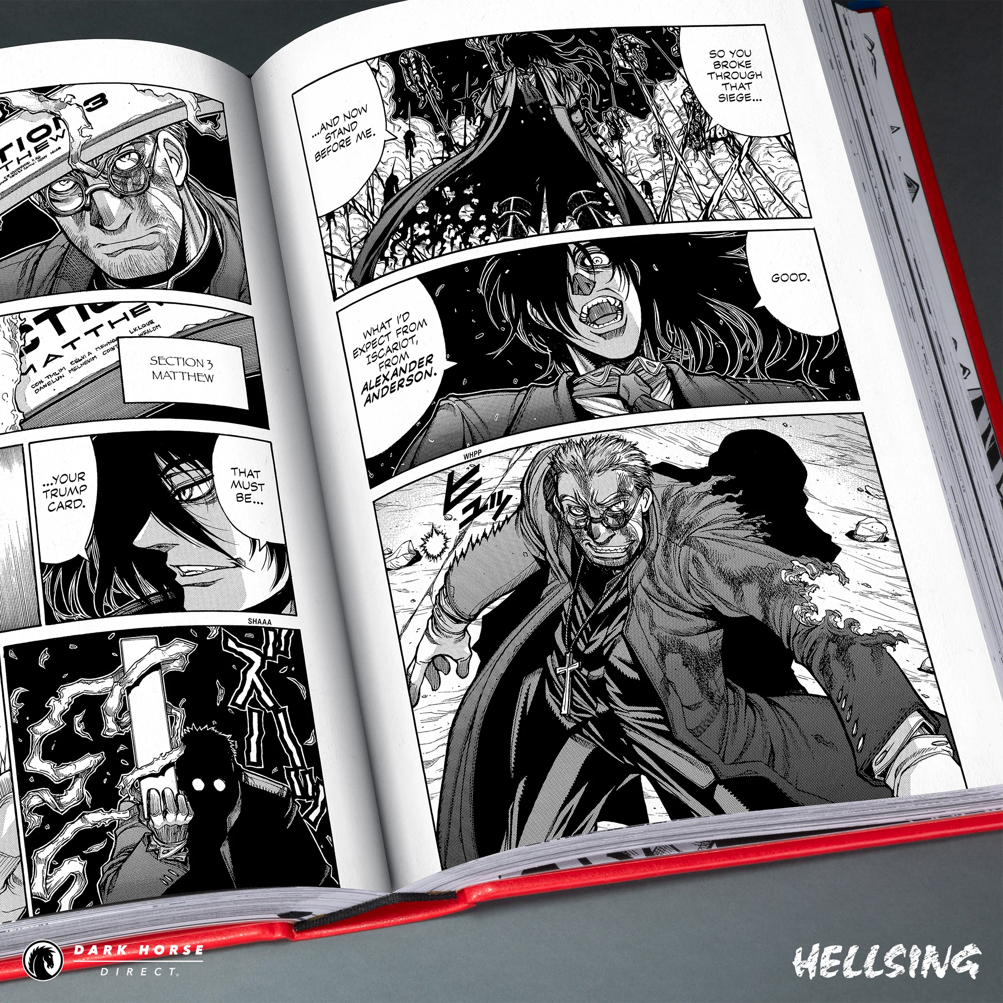 Hellsing Deluxe Hardcover Volumes - Image 17