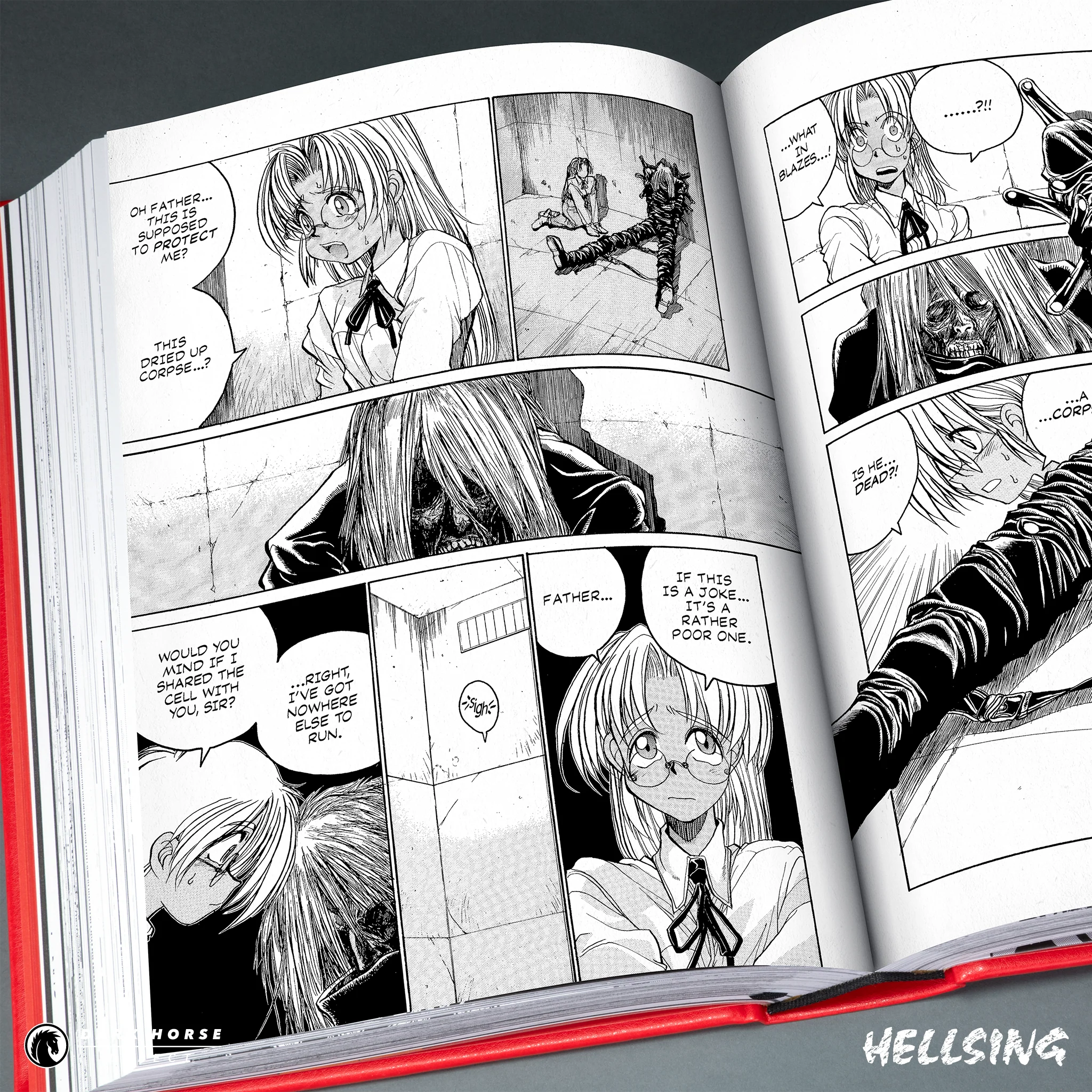 Hellsing Deluxe Hardcover Volumes - Image 6
