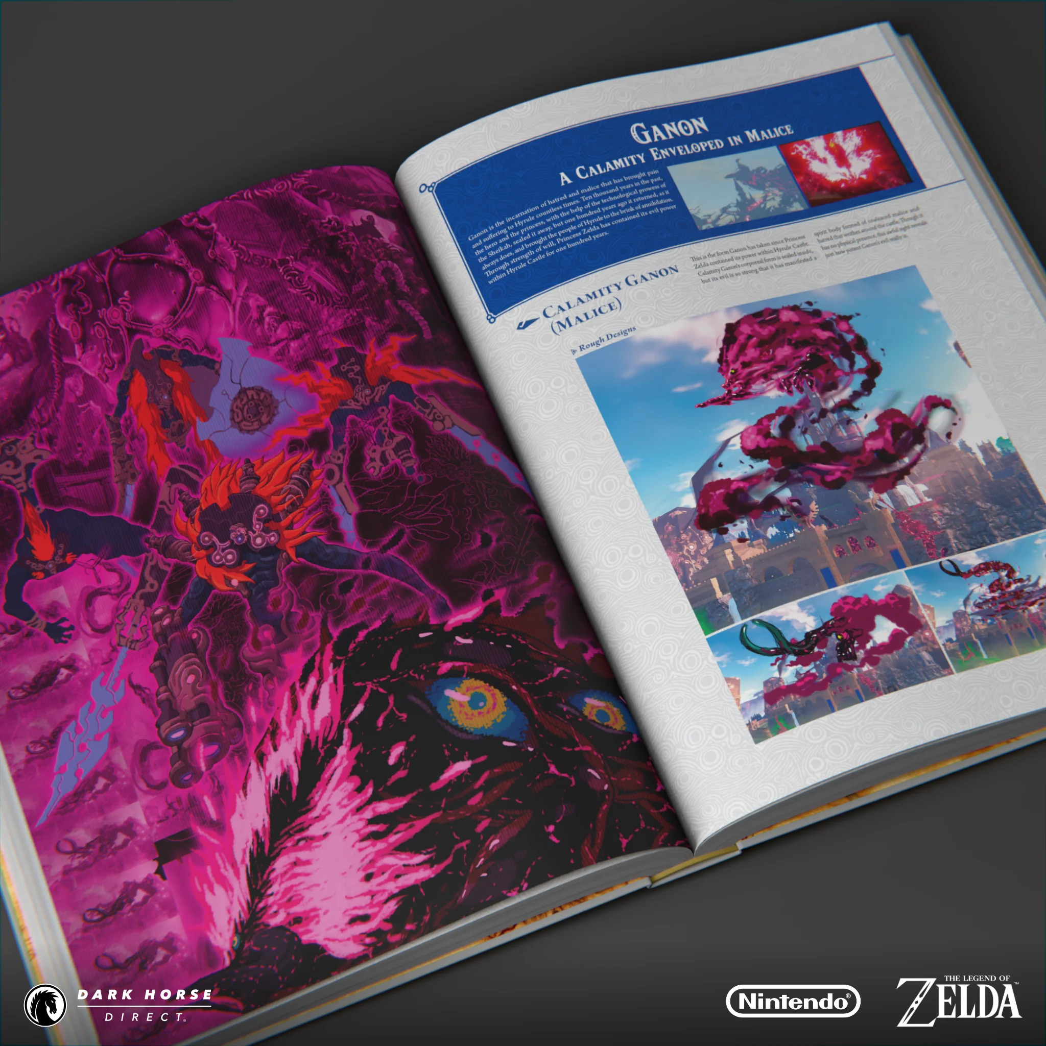 The Legend of Zelda: Breath of the Wild--Creating a Champion HC - Image 6