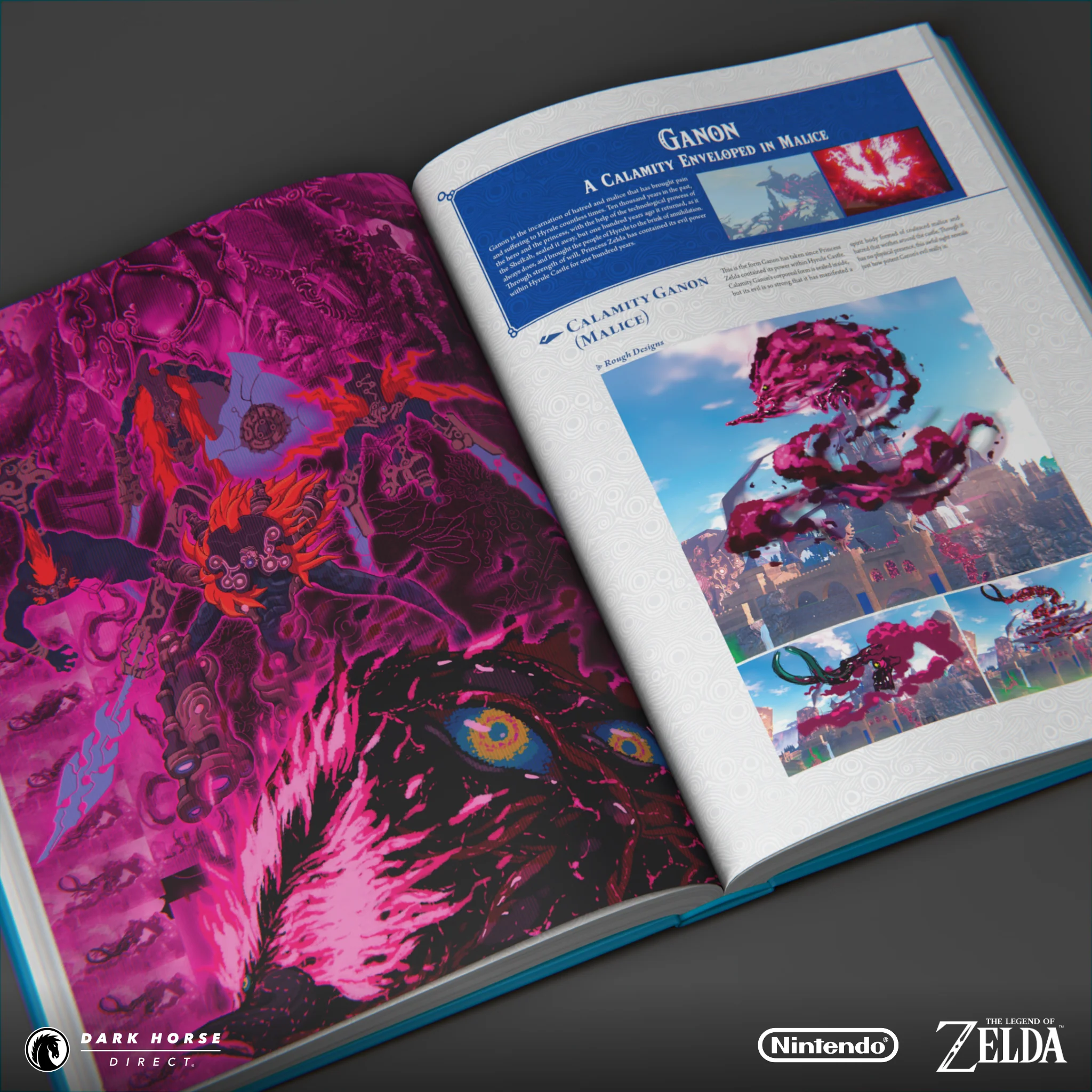 The Legend of Zelda: Breath of the Wild--Creating a Champion HC (Hero's Edition) - Image 5