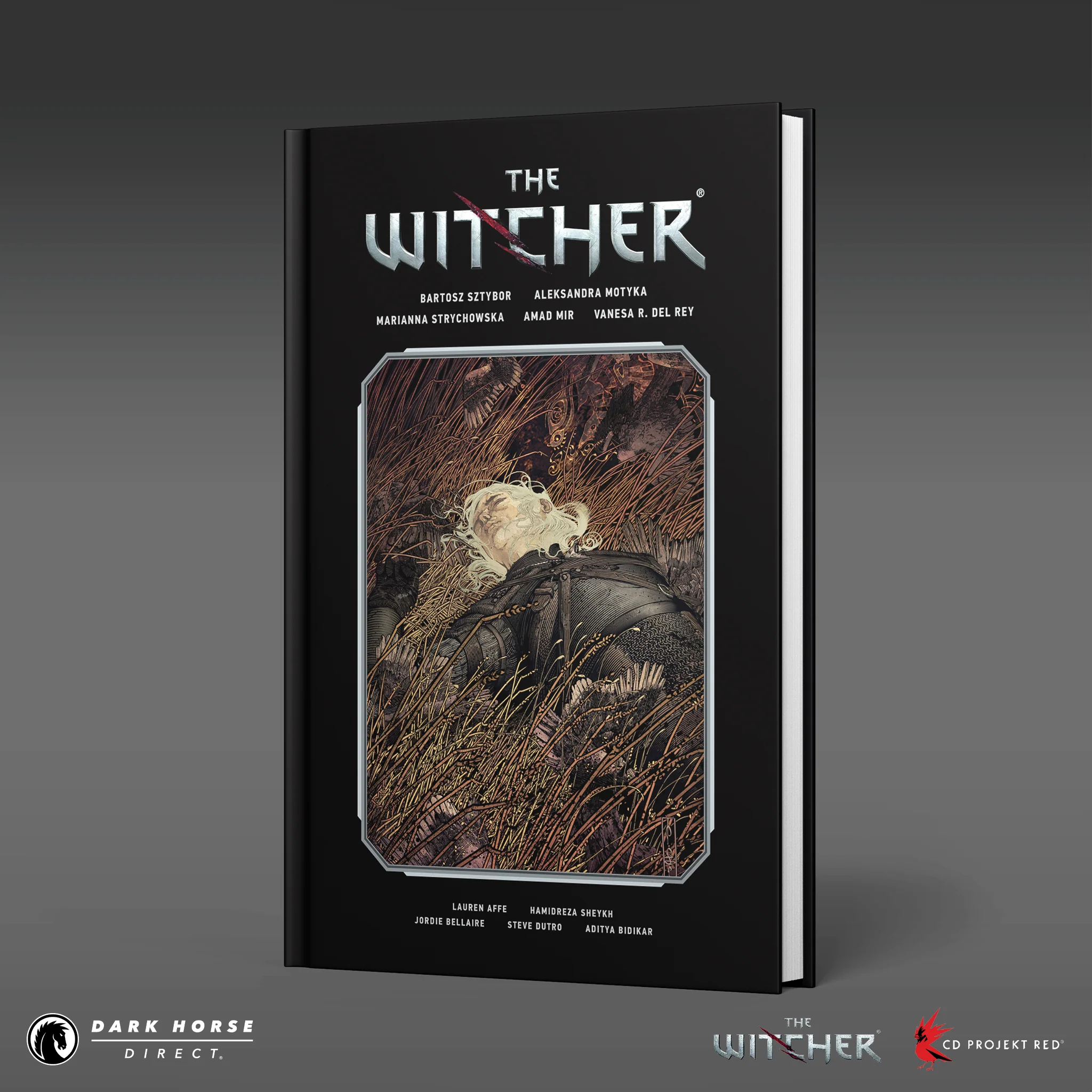 The Witcher Library Edition Hardcover Volumes - Image 3
