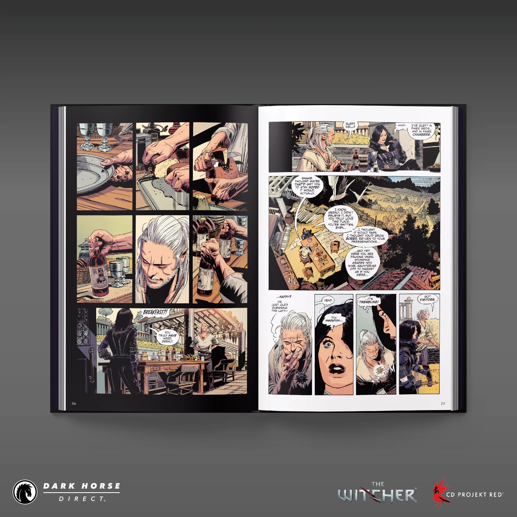 The Witcher Library Edition Hardcover Volumes - Image 6