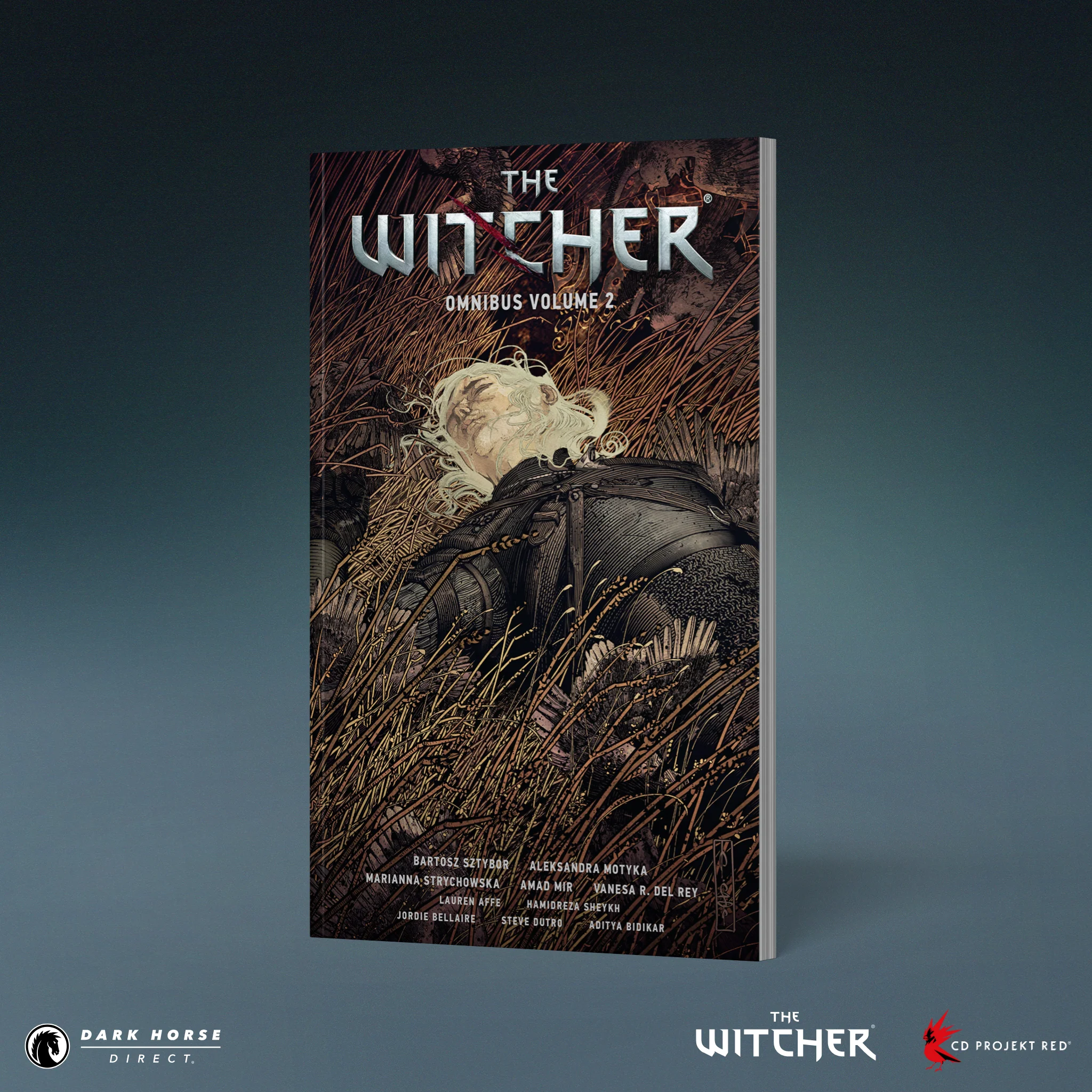 The Witcher Omnibus Volume 2 TPB